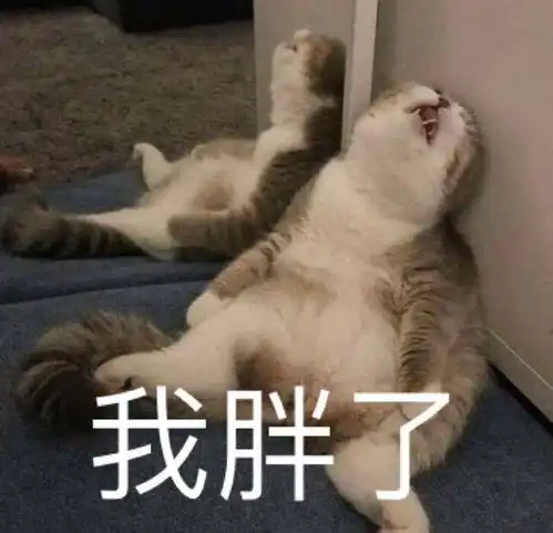 搞笑表情包图片你接着说