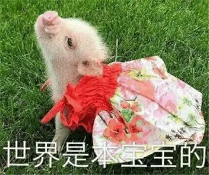 测试一个超长简介的文章