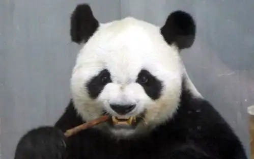 测试一个超长简介的文章