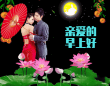 朋友圈图片加问候语微信适合群发的早安问候表情动图
