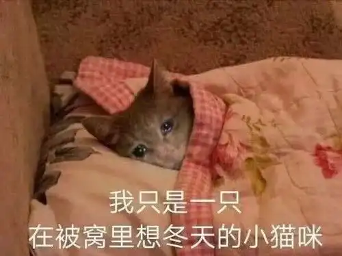 天冷请加衣,降温表情包
