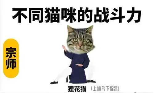 假如猫咪会武功,我家的居然是小趴菜,你家的呢