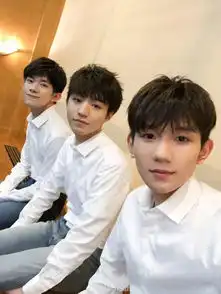 潘思言点赞一篇文章,但内容里不是千玺,而是tfboys中的他