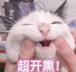 神仙月饼打架,你站哪一边