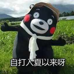 这个夏天不要太潇洒