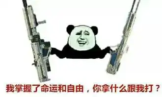 使命召唤ol中什么枪值得买
