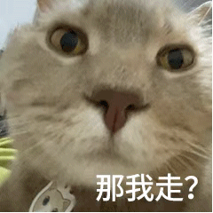 表情包丨微信聊天必备小表情
