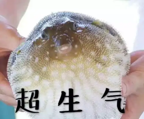 交大校园卡微信线上版来啦附最全使用攻略