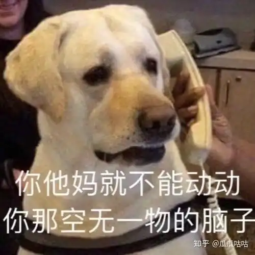 如何看待张檬与金恩圣至上励合小五公开恋情