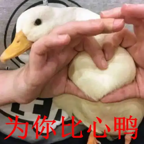 萌宠动物界搞笑图集每周一更新