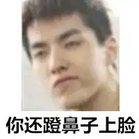 exo成员搞笑带字表情包