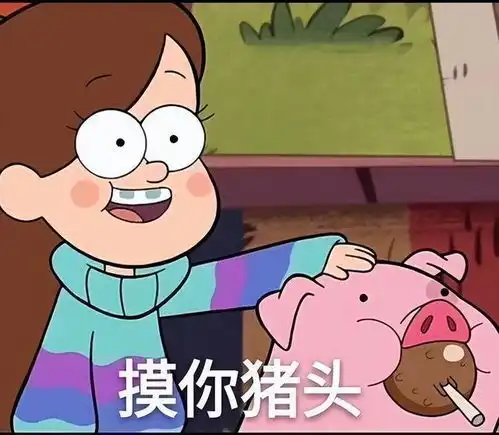 有哪些猪的搞笑图片或者表情包