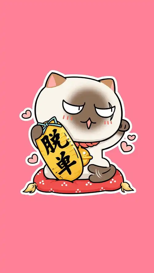今日份壁纸丨积极生活