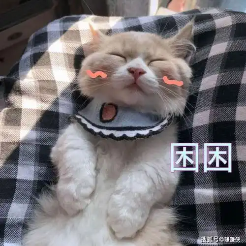 搞笑表情包图片经典必备,笑死我了,哈哈哈哈