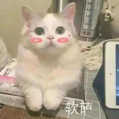 难道我不是丨第131期喵表情