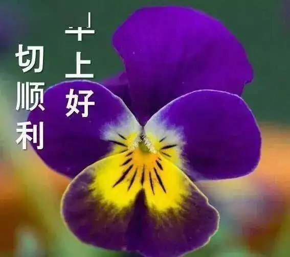 早安表情包2020特温馨的早上好暖心问候祝福语,微信超好看的早上好动态表情图