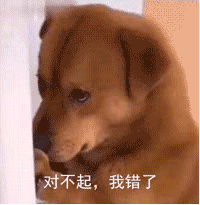 萌宠表情包怎么,有情绪了