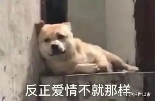 没钱的表情包搞笑情人节