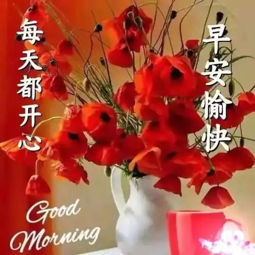 星期天最新漂亮早上好祝福问候动态图片,腊月暖心的早上好动态表情图片