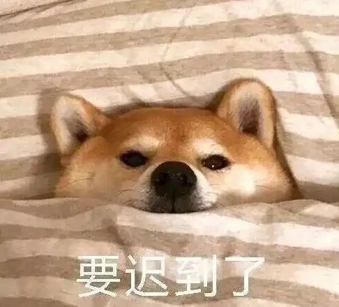 测试一个超长简介的文章