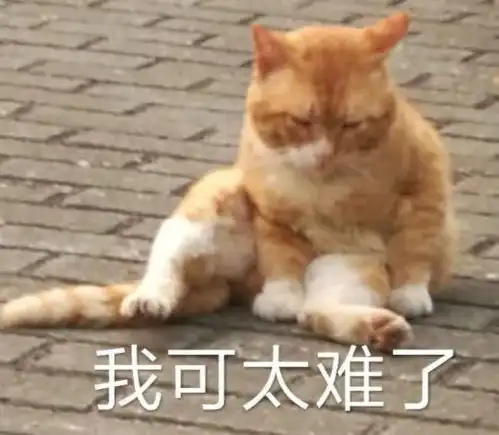 可爱搞笑表情包我可太难了