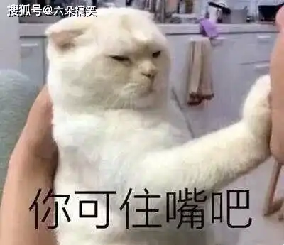 搞笑段子你先靠边,稍安勿躁,看我能不能挠秃它就完了