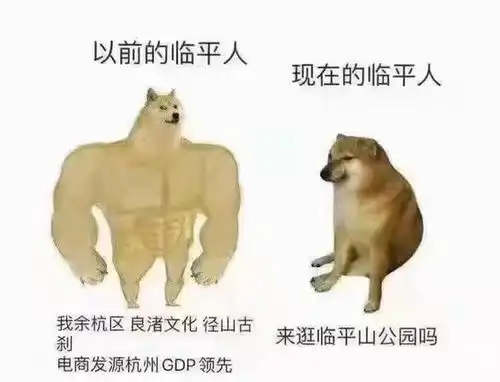 杭州官宣落地了八区重新洗牌,谁是最大赢家