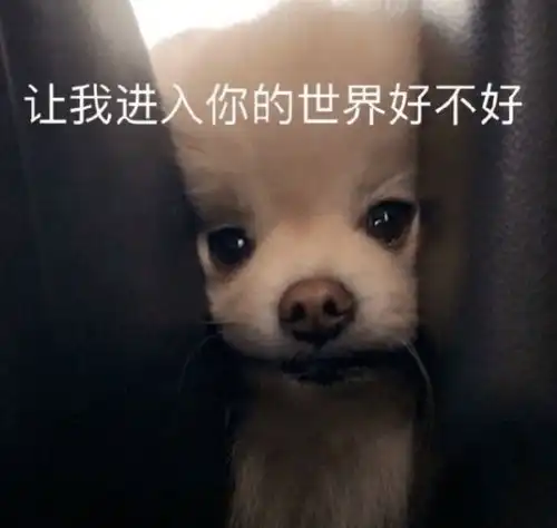 凭这几张图就可以测出我是哪种人