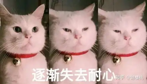 张译嘴歪怎么回事儿