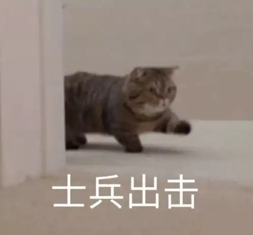 表情包十三丨要不要一起睡个舒服的觉觉