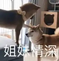 我送的顶流款礼物让翠花再也不想过生日了