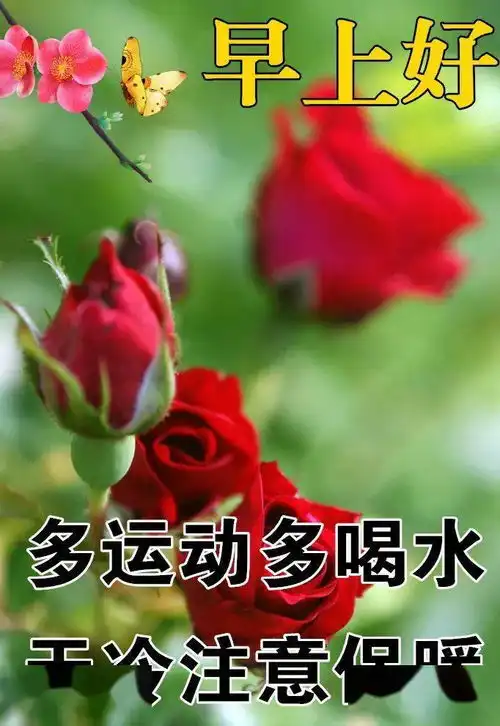 12月5日最漂亮早上好动态表情图片大全,早晨好动图美图大全