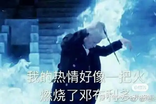 哈利波特表情包