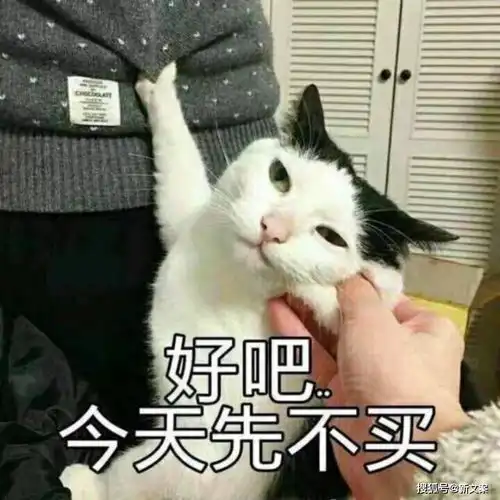 好家伙日常不起眼的便宜货,竟然这么贵