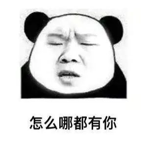 熊猫头表情包i怎么哪都有你啊