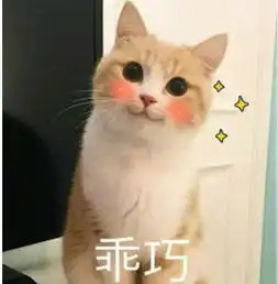ins情侣专属的喵咪卖萌表情包,请问谁在呼唤本可爱