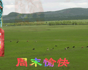 老司机积累多年的撩妹表情包,抓紧上车