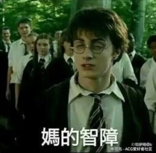 当哈利波特全员看到自己的表情包