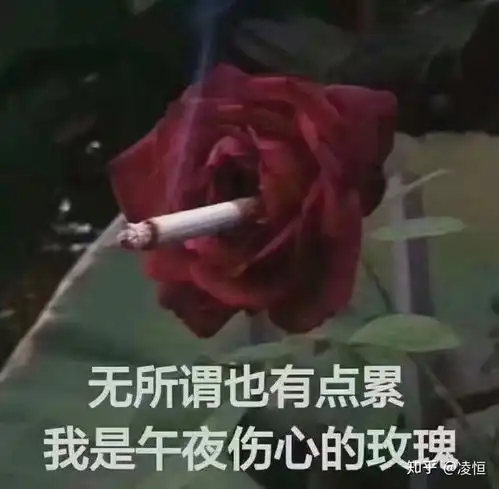 有哪些可以发动态的沙雕文案
