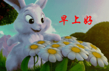 最美早上好祝福语图片表情,早晨动图问候微信