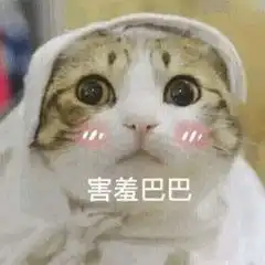 测试一个超长简介的文章