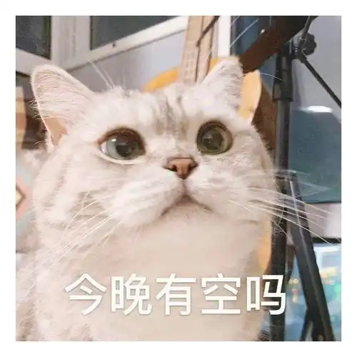 表情包一组有趣表情包40期