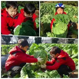 宋万岁疑恋情曝光,出息了我的万岁爷