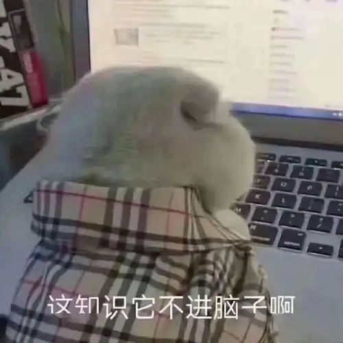 雅思精读多篇还是没有进步,如何有效精读