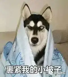 今日小寒肥东本周气温猛降6,冷冷冷