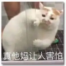 整活界里我瓦莉拉,小小铜须配金卡德加