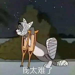 女生头像我觉得猫很可爱