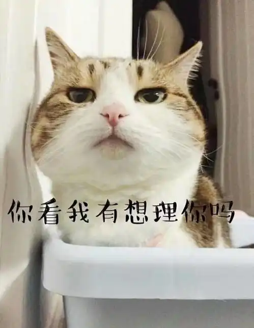 搞笑段子有一天某人和老公吵架,老公生气摔门就走了厕所