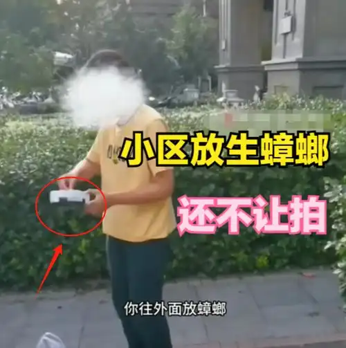 廊坊女子小区内放生蟑螂后续视频发布者再发声,放生目的疑曝光