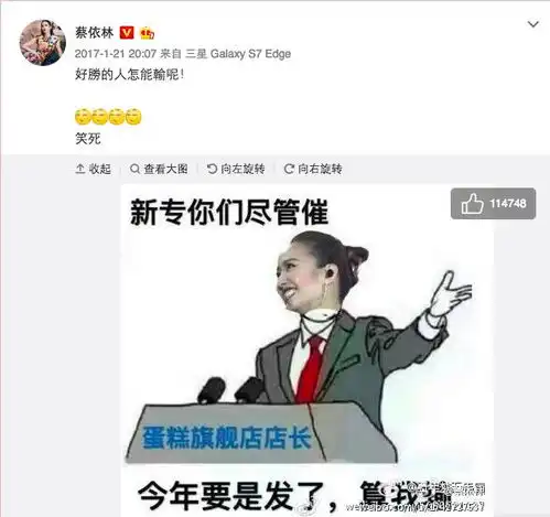 你觉得蔡依林play世界巡回演唱会怎么样